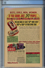 Load image into Gallery viewer, Amazing Spider-Man #17 CGC 4.0
